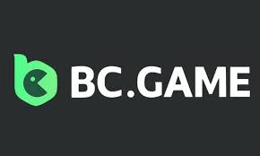 Understanding BC Game.vc KYC A Comprehensive Guide -738879950