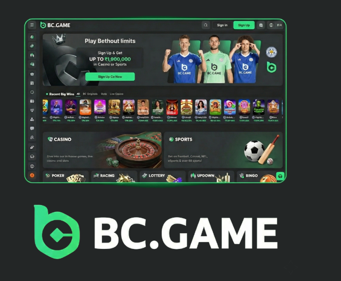 Unlocking Fun A Comprehensive Guide to BC.Game Bonus Codes